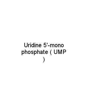 Uridine 5'-monophosphate ( UMP )
